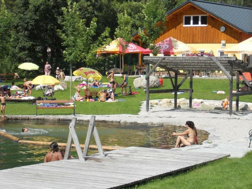 Reiters-Ferienhaus Russbach am Pass Gschütt Exterior foto